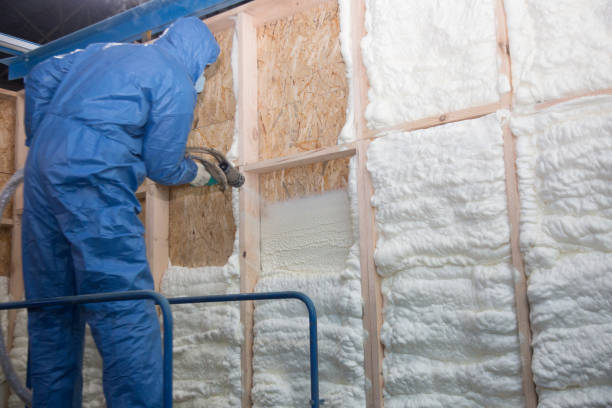 Types of Insulation We Offer in Concord, CA